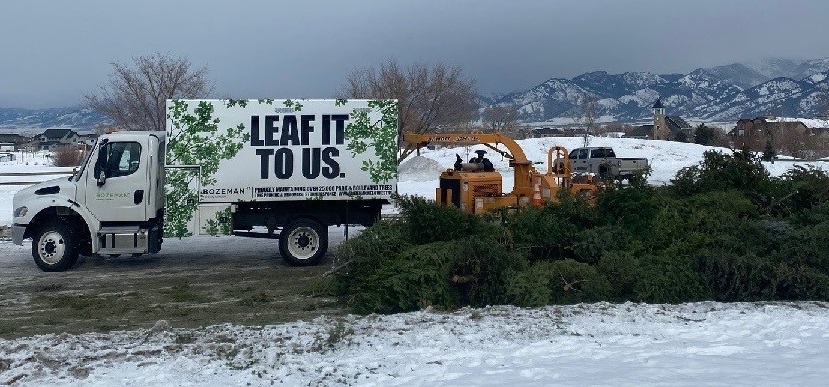 Christmas Tree Recycling
