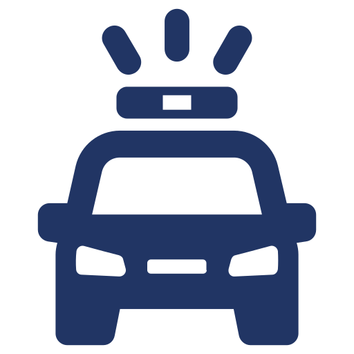 Online Reporting Form (Nvy)