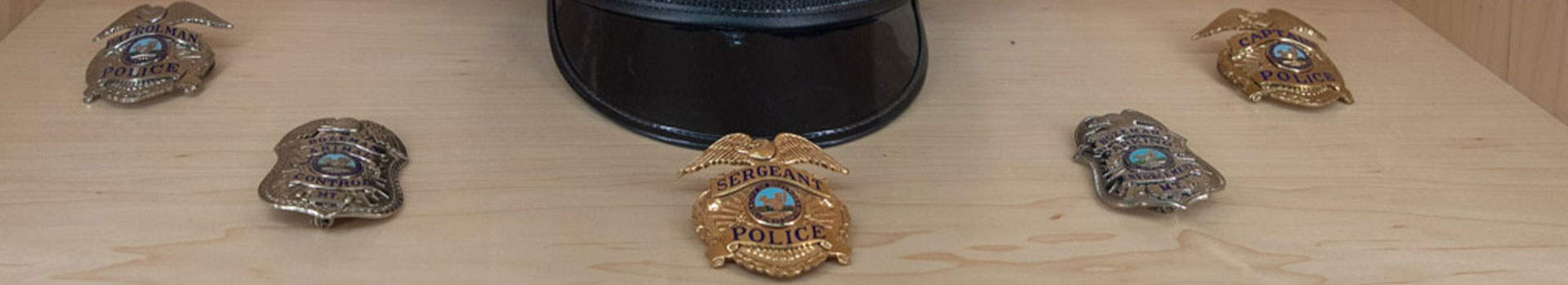 PD-Banner-Image-8